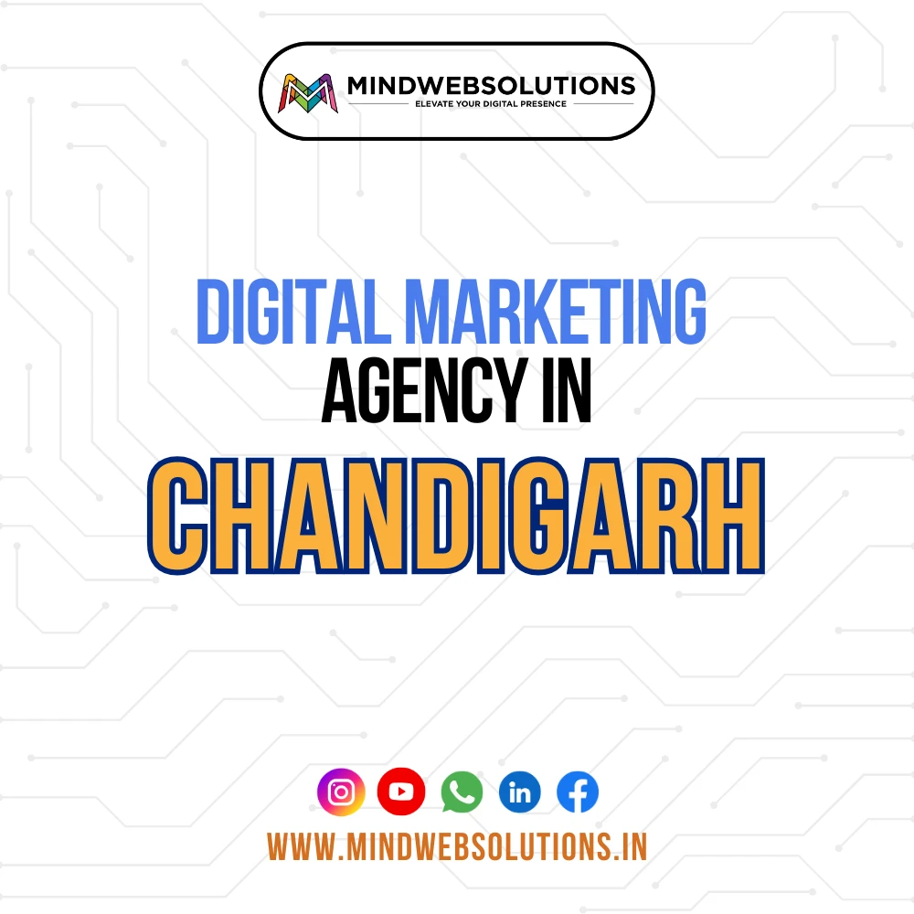 digital marketing agency in chandigarh