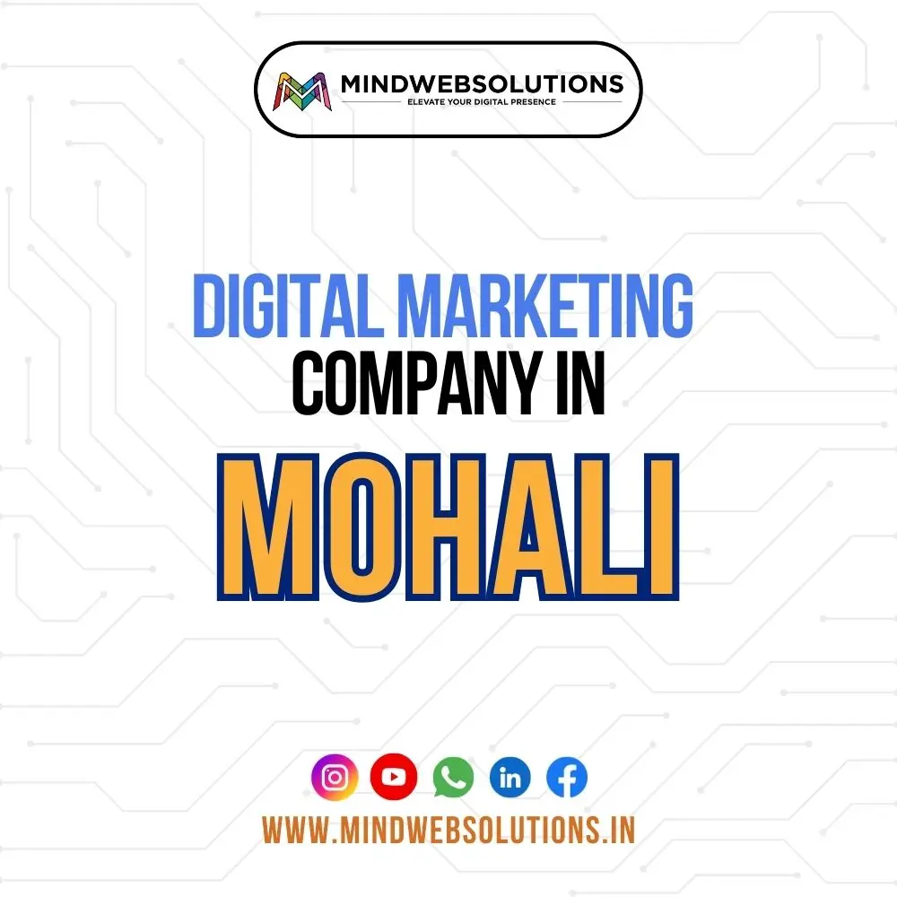 digital marketing company in mohali