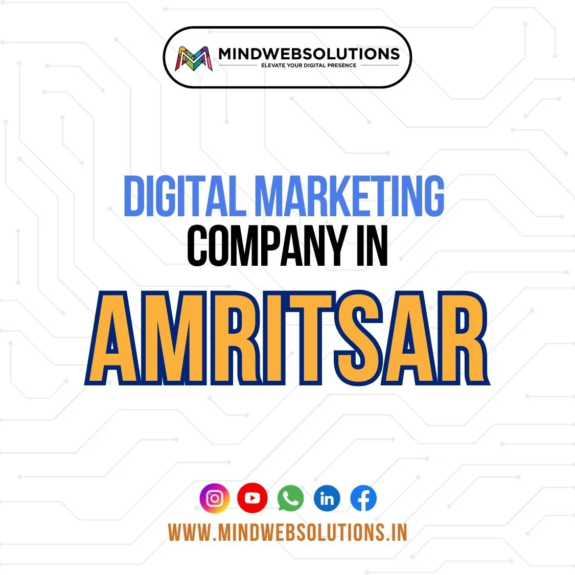 digital marketing company in Amritsar