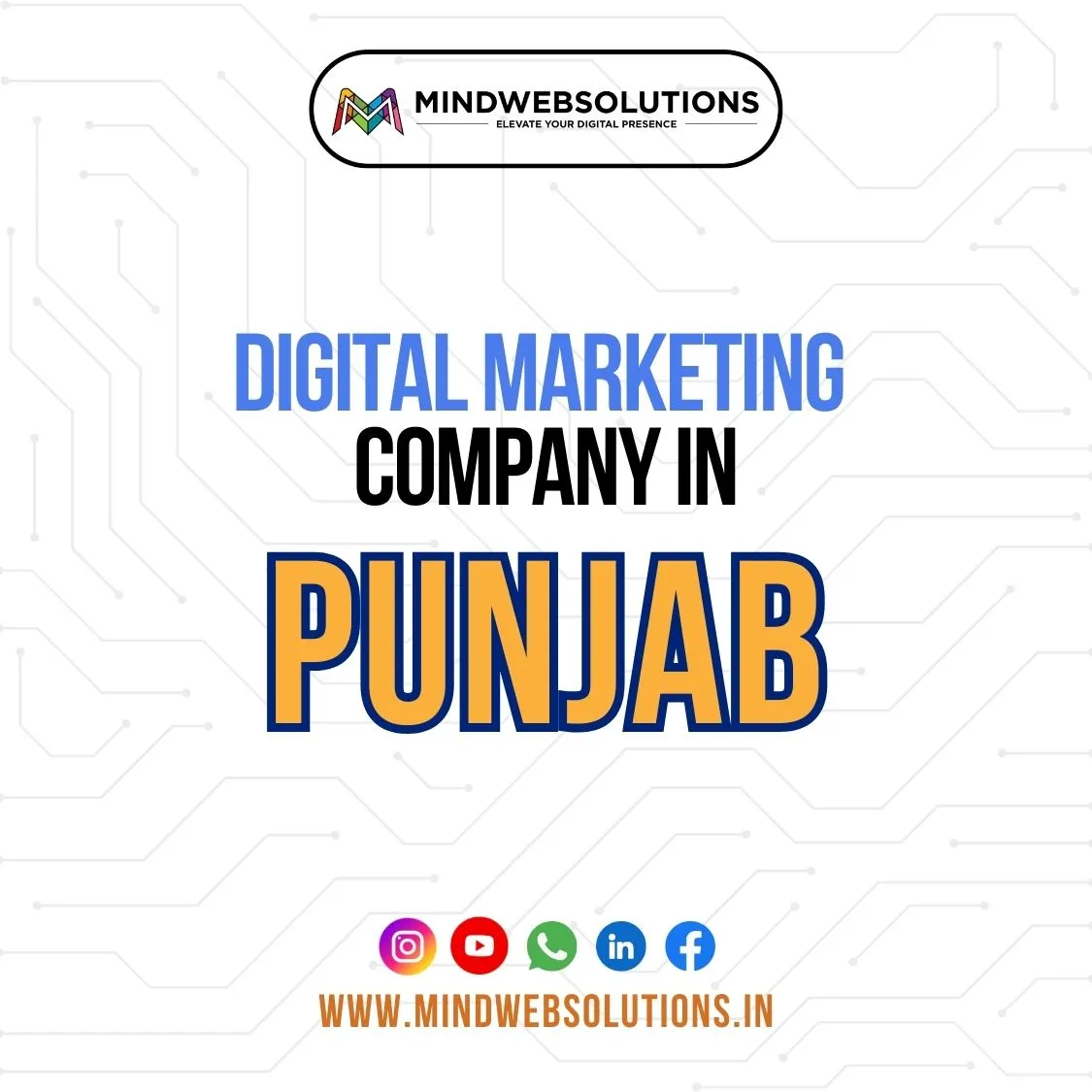 Digital marketing company in punjab