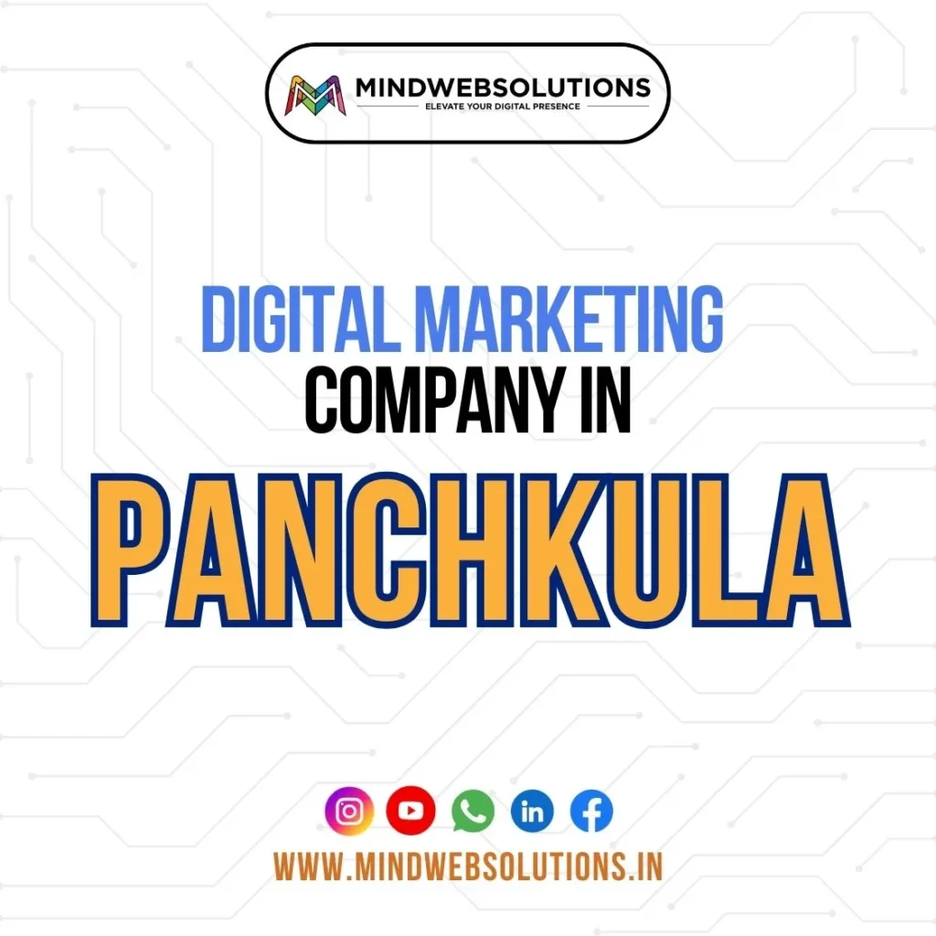 Digital marketing company in panchkula